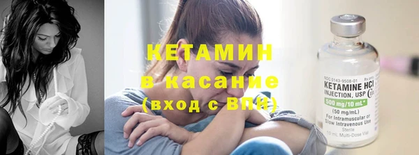 гидра Покачи