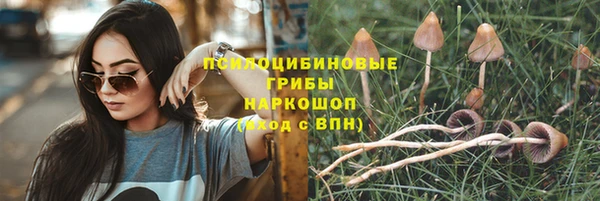 марки nbome Пересвет